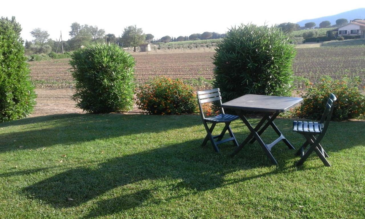 Vila Monolocale Con Giardino Castiglione della Pescaia Exteriér fotografie
