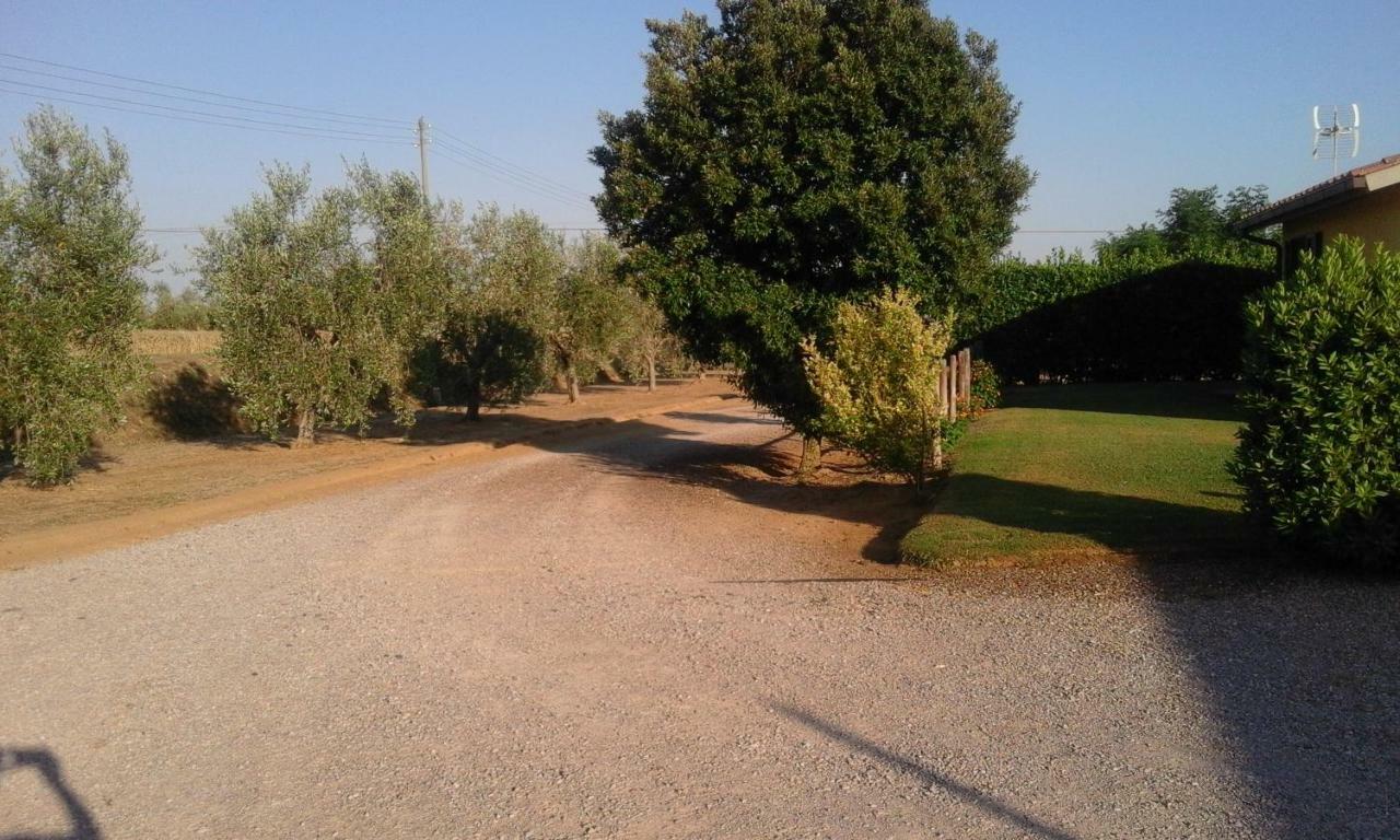 Vila Monolocale Con Giardino Castiglione della Pescaia Exteriér fotografie